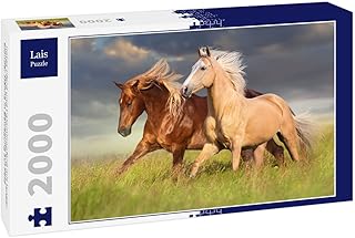 Lais Puzzle Cavallo rosso e cavallo palomino con lunga criniera bionda in movimento su un campo 2000 pezzi