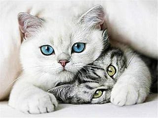 Yingxin34 Puzzle 1000 Pezzi, Puzzle Due Gatti Puzzle Adulti Puzzle Bambini 1000 Piece Jigsaw Puzzles Puzzles Classici 26X38cm（10.23 * 14.96inch）