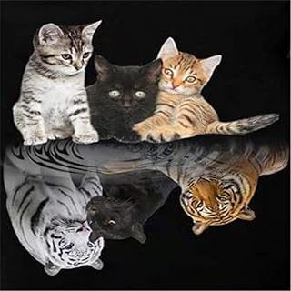 YINGXIN134 Jigsaw Puzzle 1000 Pezzi Puzzle in Legno Tre Gatti con Immagine riflessa Decorazioni per la Famiglia, Regalo di Compleanno Unico Adatto per Adolescenti e adulti-26x38 cm
