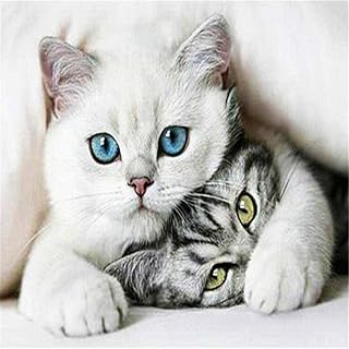 Jigsaw Puzzle 1000 pezzi Puzzle in legno Due gatti Immagine Decorazioni per la famiglia, regalo di compleanno unico adatto per adolescenti e adulti-26x38cm