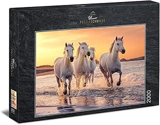 Ulmer Puzzleschmiede - Puzzle cavalli Camargue - Puzzle da 2000 pezzi - Il cavallo bianco in natura in Camargue, Provenza, Francia meridionale