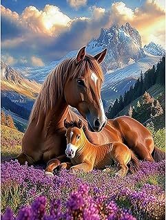 KEYIFA Cavallo Dipingere con i Numeri per Adulti, Animali Painting by Numbers Kit con Pennelli e Acrilico Pigmento, Fai da te Olio La Pittura di Numeri Kit, Decora la Casa 30x40cm